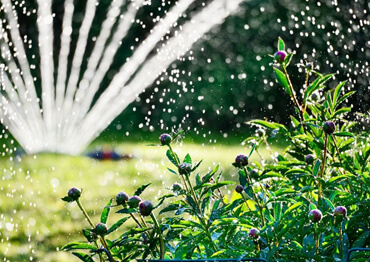 watering the garden - New Orleans - Risk Tree Service