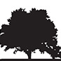 Tree Logo