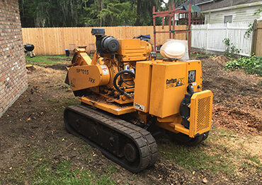 Stump Grinder for tree care professionals