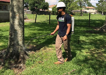 Termite treatment Services -  New Orleans 